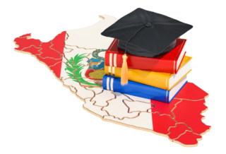 La evolución de las estructuras de gobierno de la educación superior a escala nacional: lecciones del caso peruano