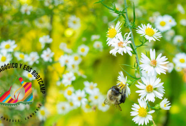 Flores y abeja