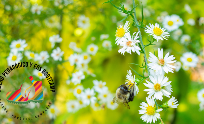 Flores y abeja